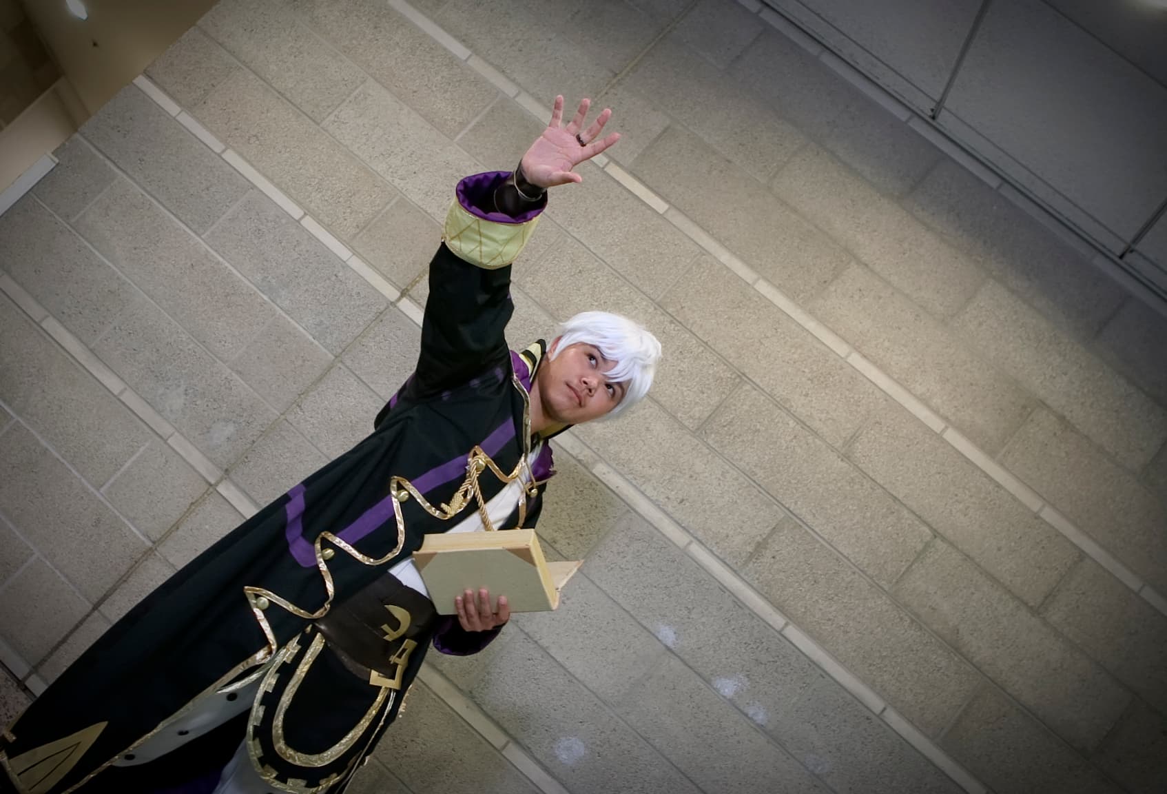 Robin